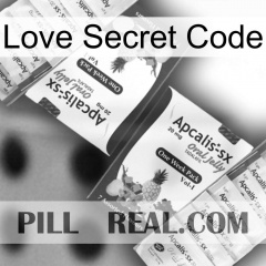 Love Secret Code 12